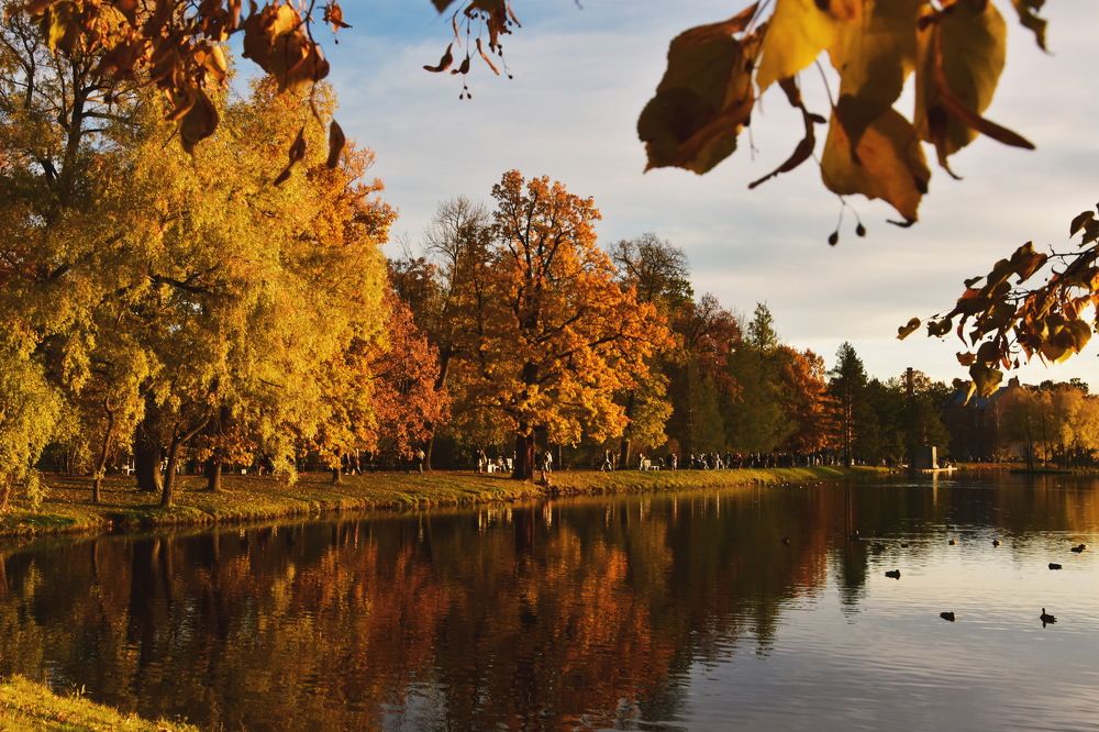 Октябрь золотой