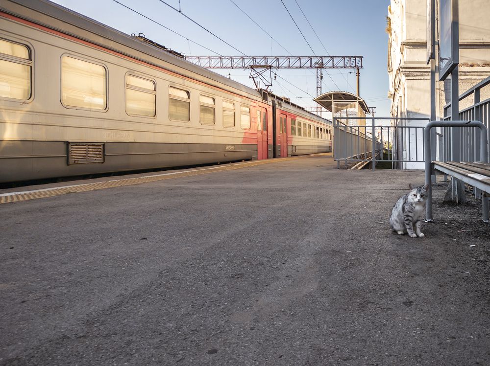 Photograph by Виктор Карпухин
