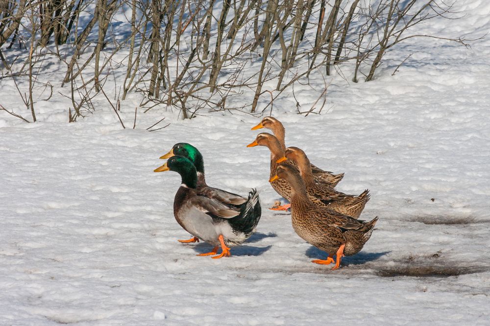 Photograph by Сергей Слукин