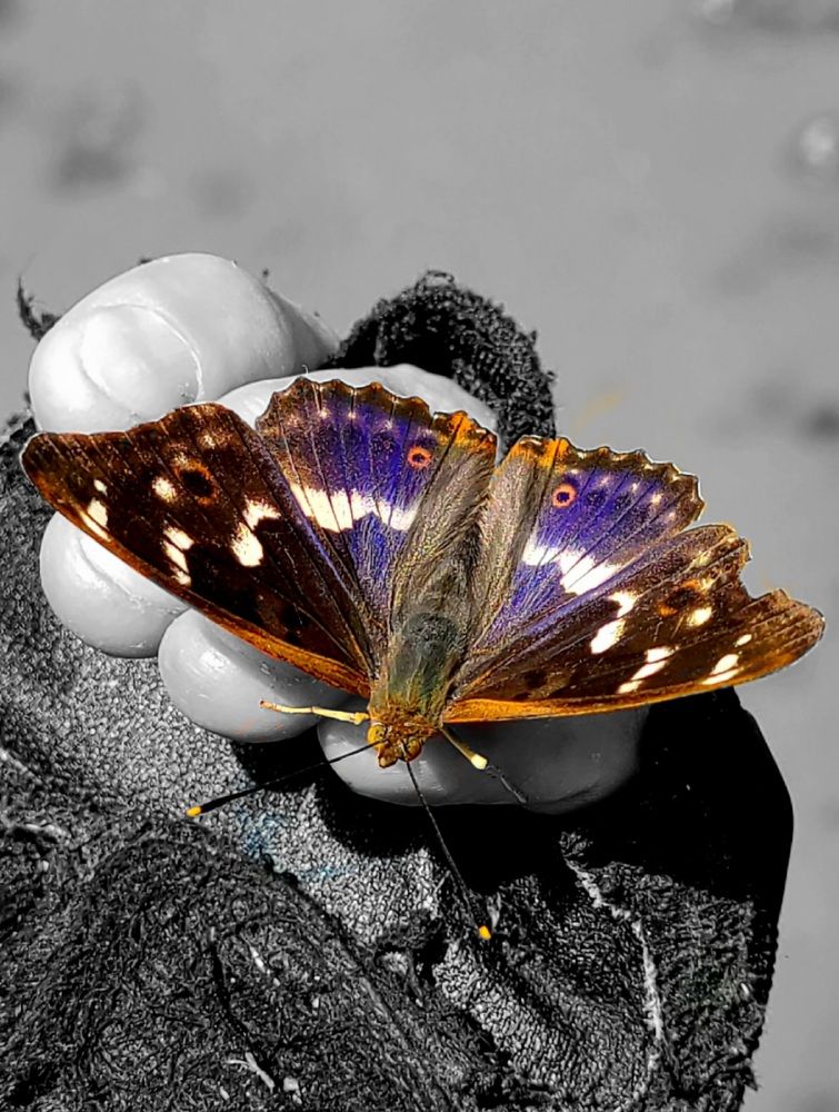 Photograph by Егор Жук