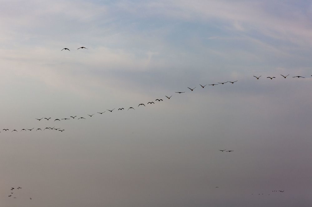 Photograph by Игорь Сапронов