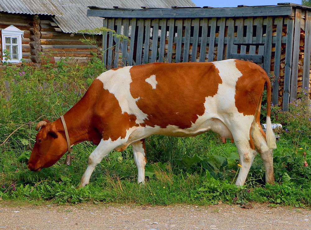 Photograph by Татьяна Февральская