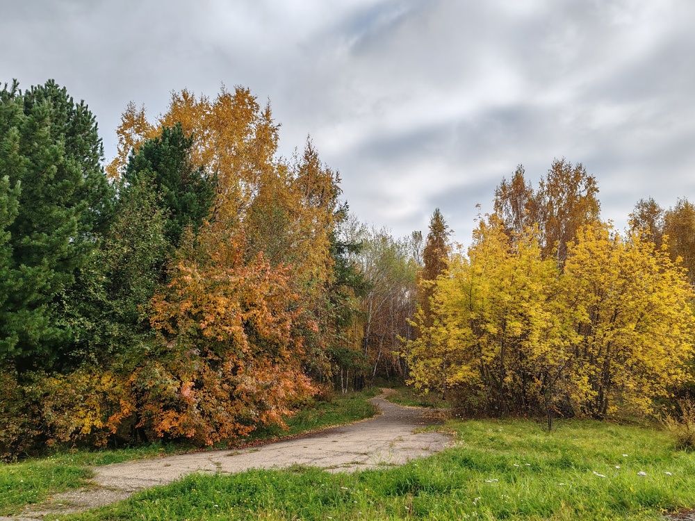 Photograph by Алёна Гильмуллина