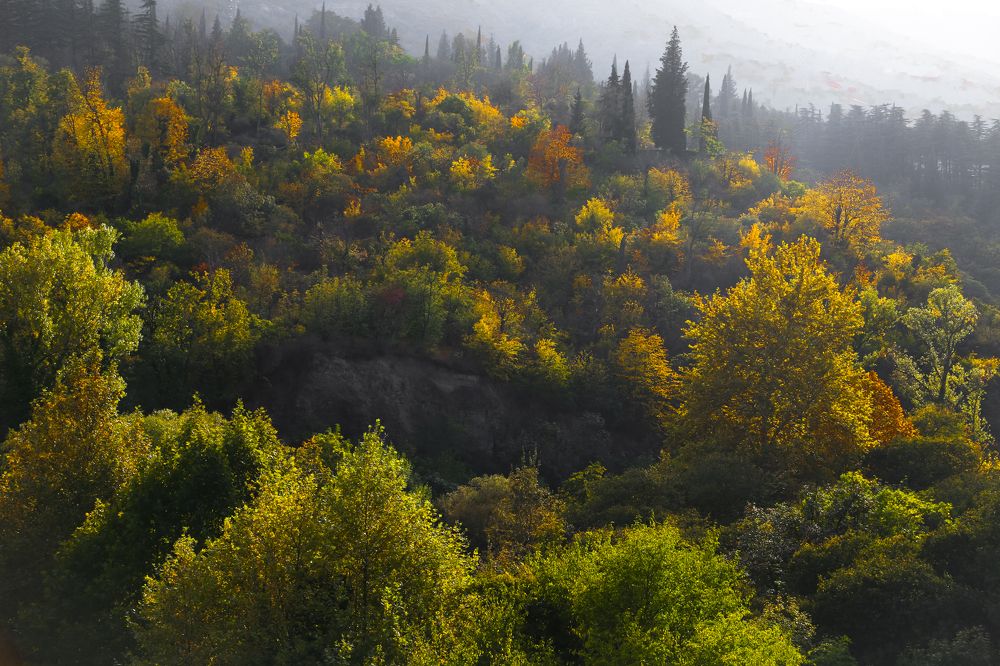 Photograph by Иван Суслов