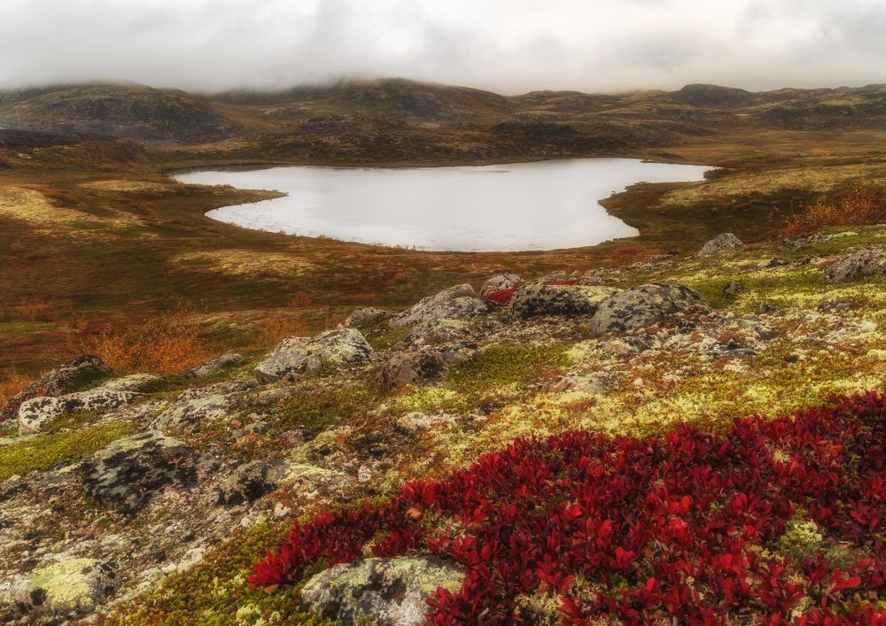 Photograph by Анна Бокова