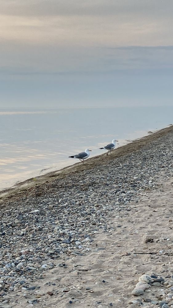 Photograph by Инна Шикуева