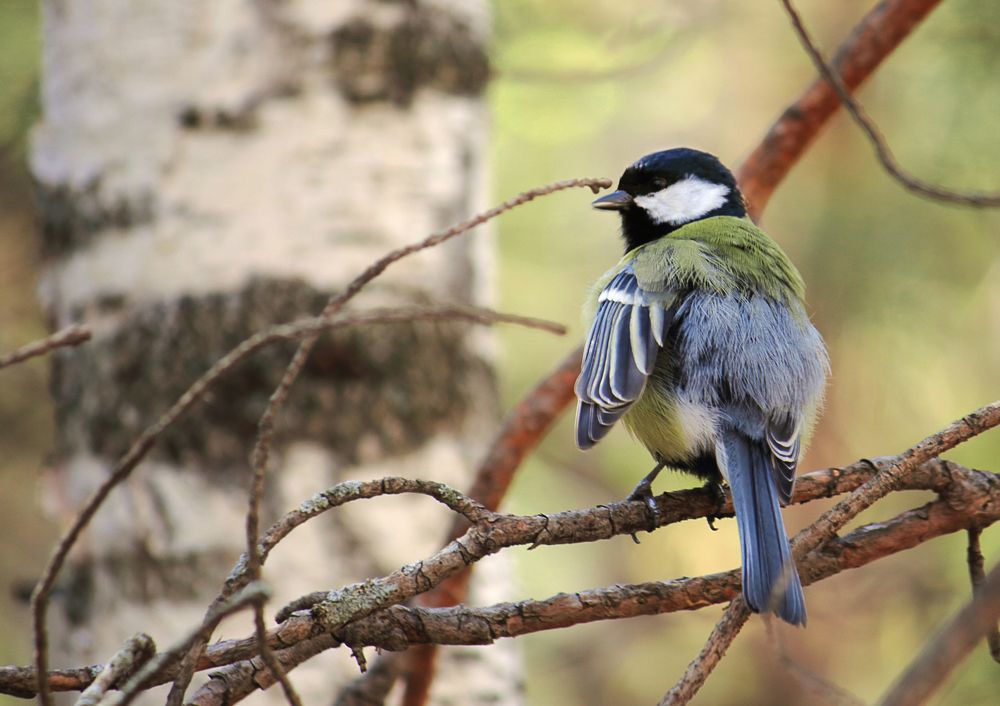 Photograph by Андрей Жильцов