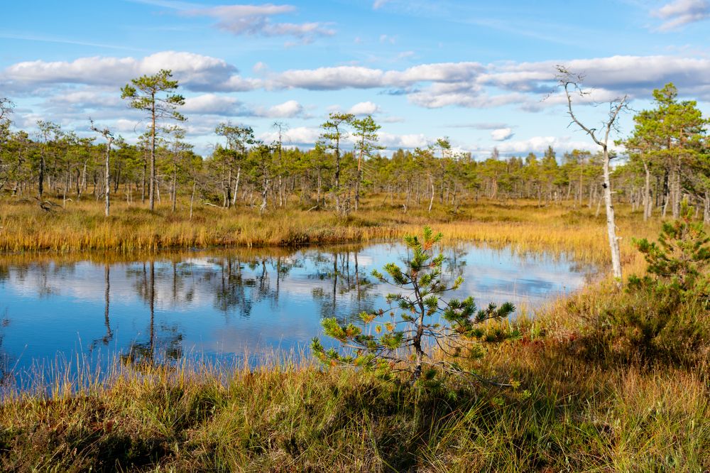 Photograph by Юлия Боровкова