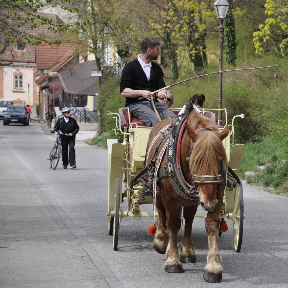 Эволюция транспорта