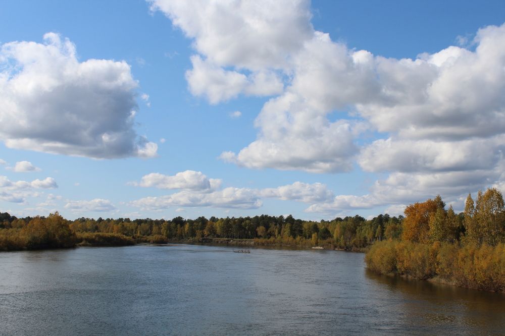 Фотография автора Elena Zotova