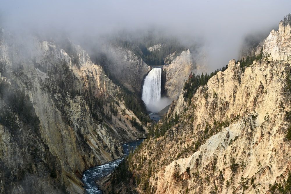 Morning in the Canyon