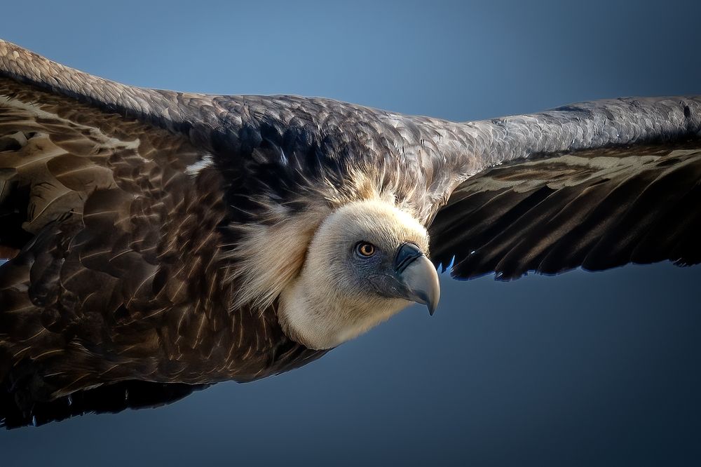 Photograph by Александр Соловьев