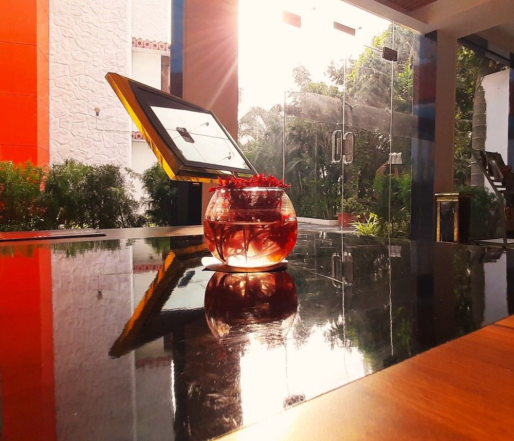 Glittering morning light