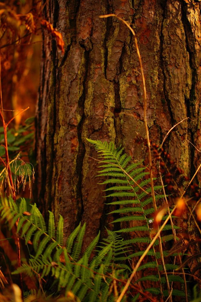 Photograph by Гусева Марина