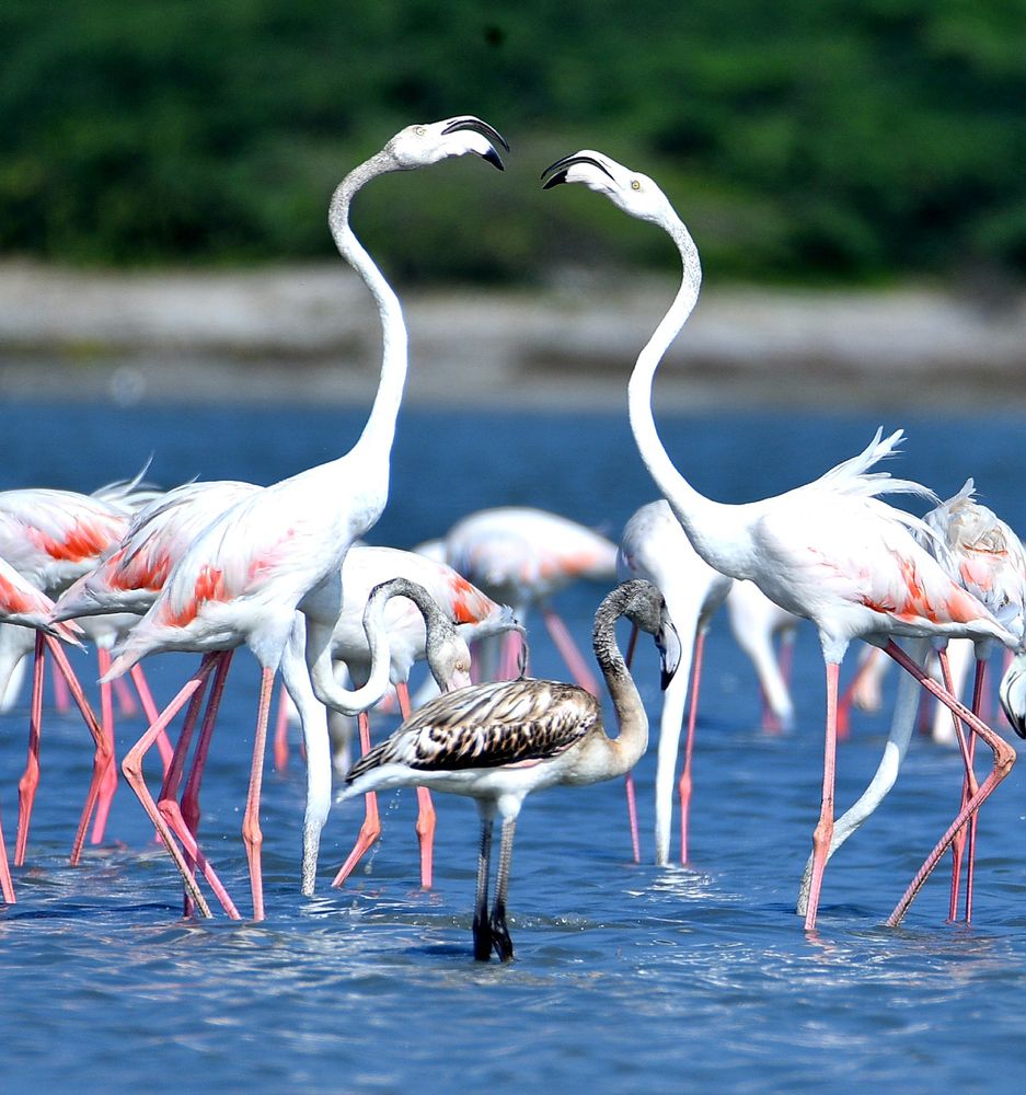 Photograph by Uthaya Ruban