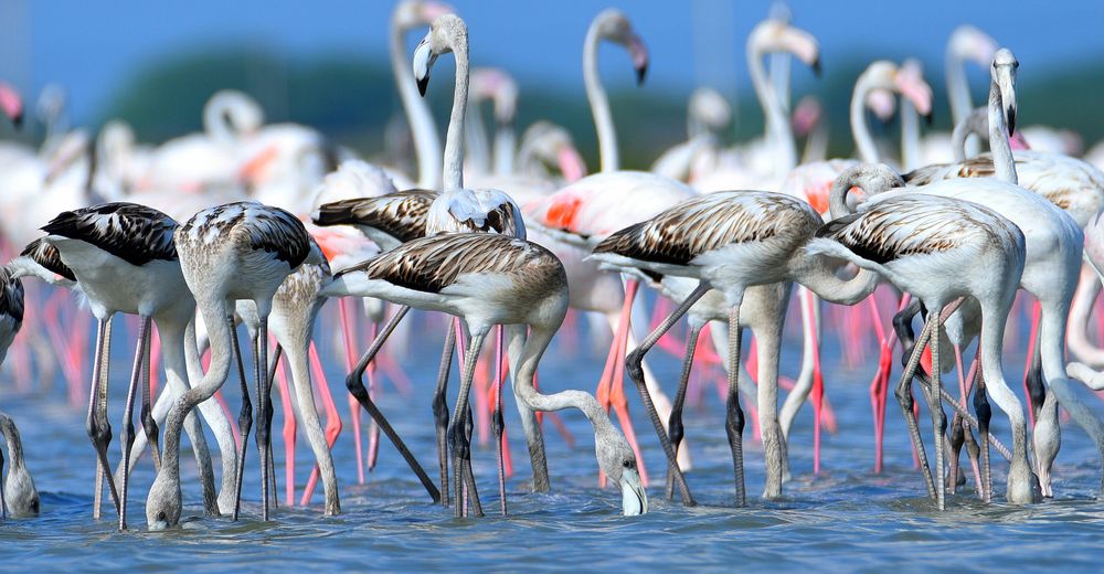 Photograph by Uthaya Ruban