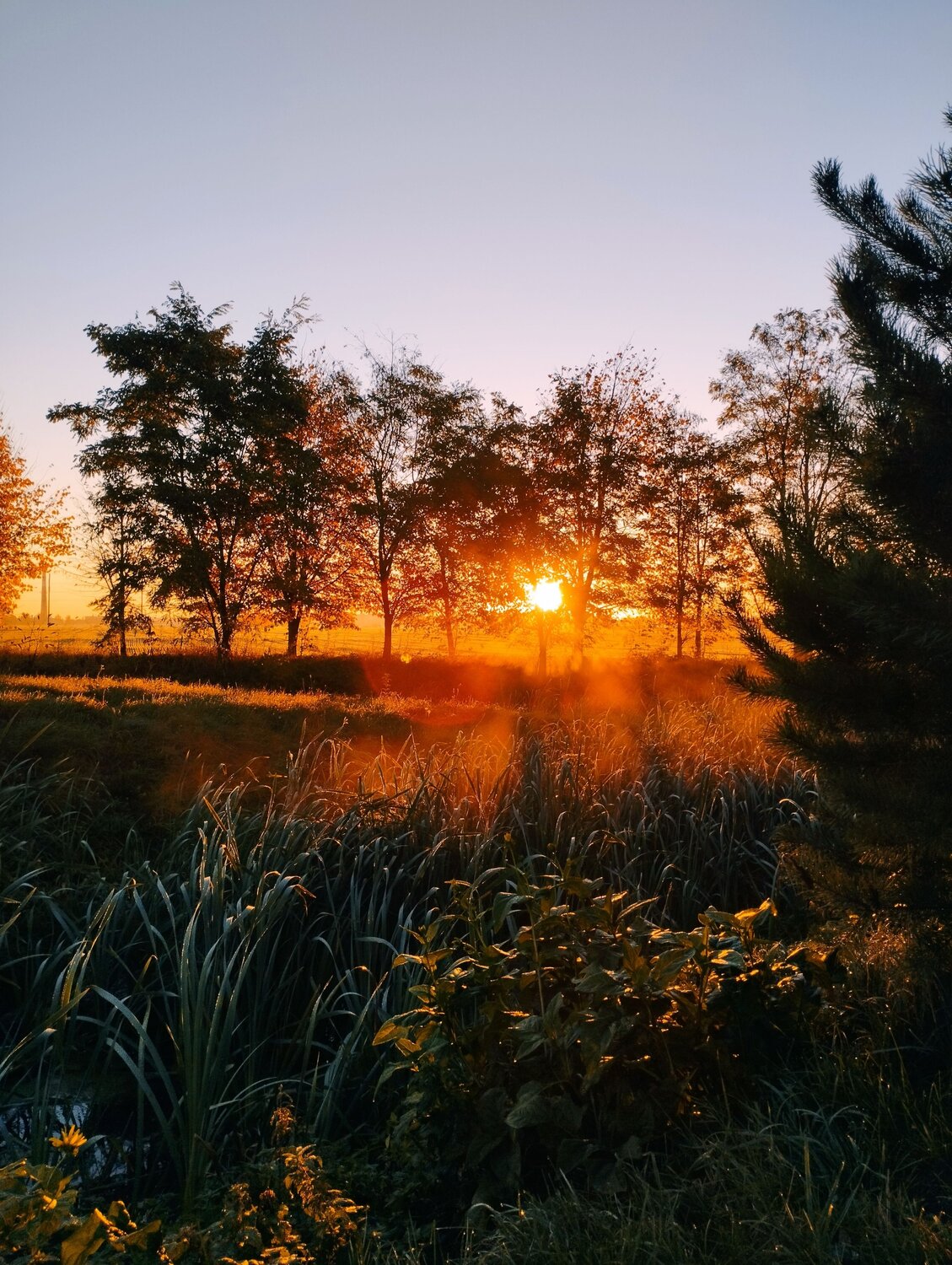 Photo #11092242