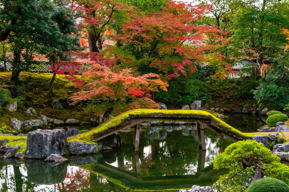 Фотография автора Jian Ma