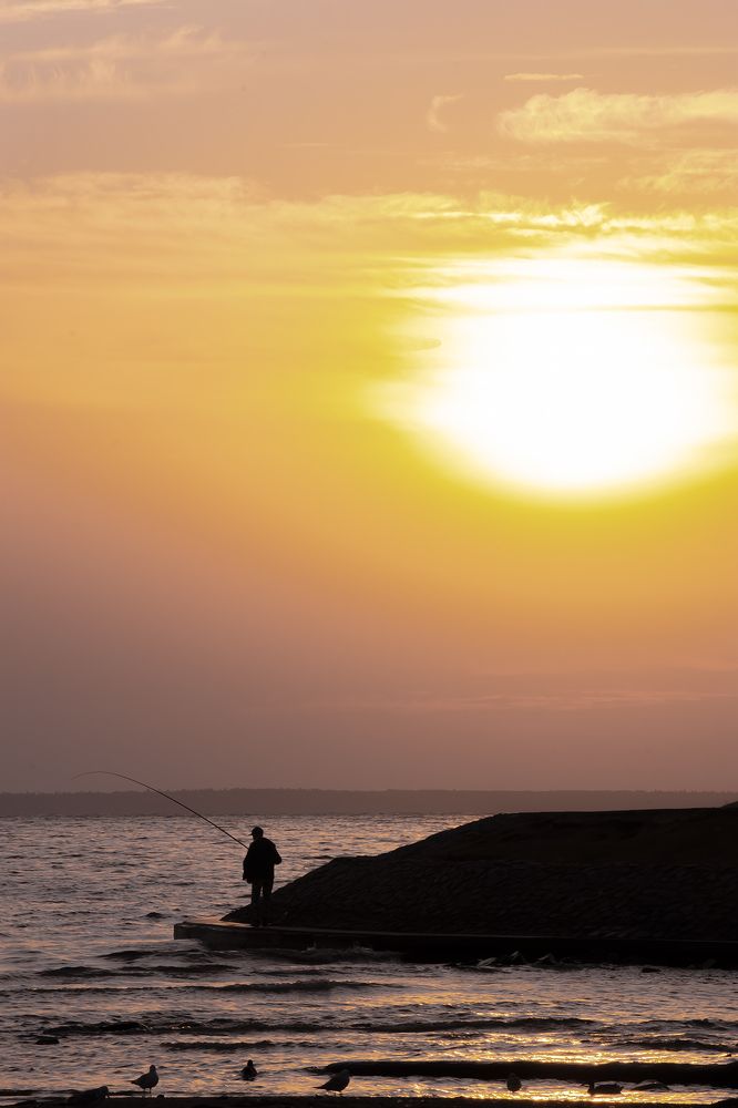 Photograph by Бурикова Екатерина