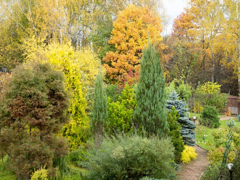 Photograph by Руслан Гончар