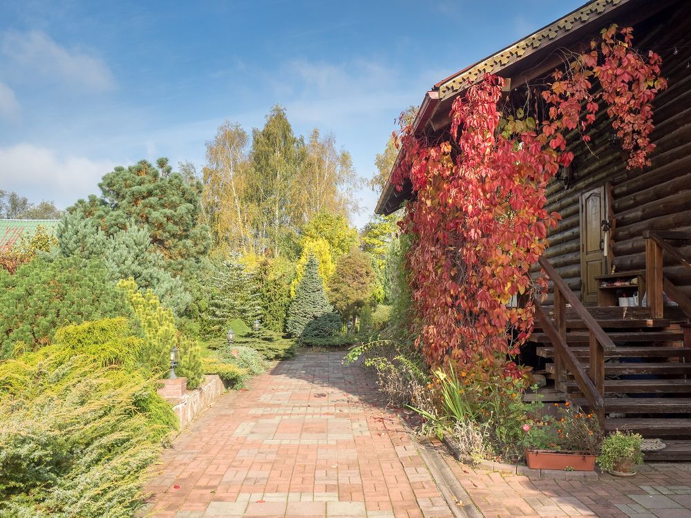 Photograph by Руслан Гончар