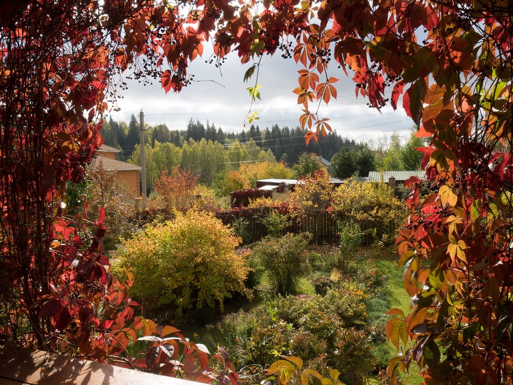 Photograph by Руслан Гончар