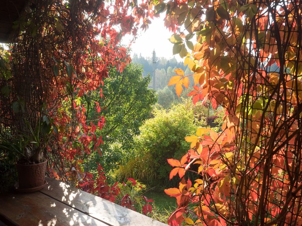 Photograph by Руслан Гончар