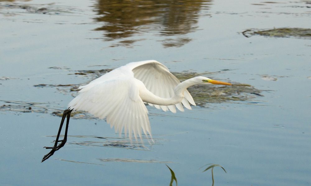 Фотография автора Екатерина Счасная