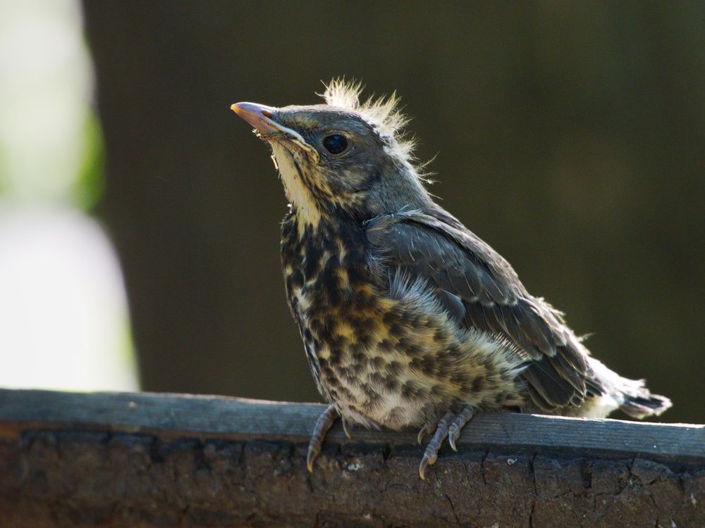 Photograph by Алексей Поляков