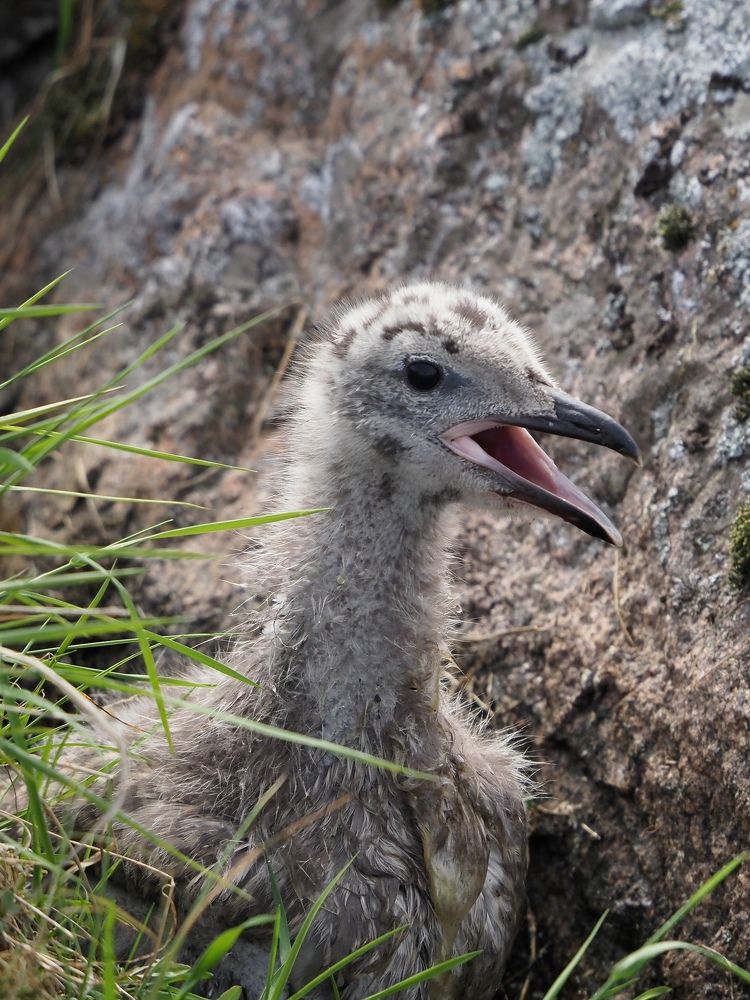 Photograph by Алексей Поляков