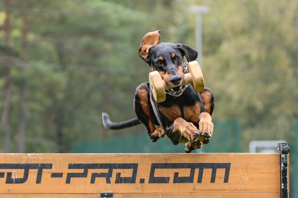 Photograph by Сергей Жиркевич