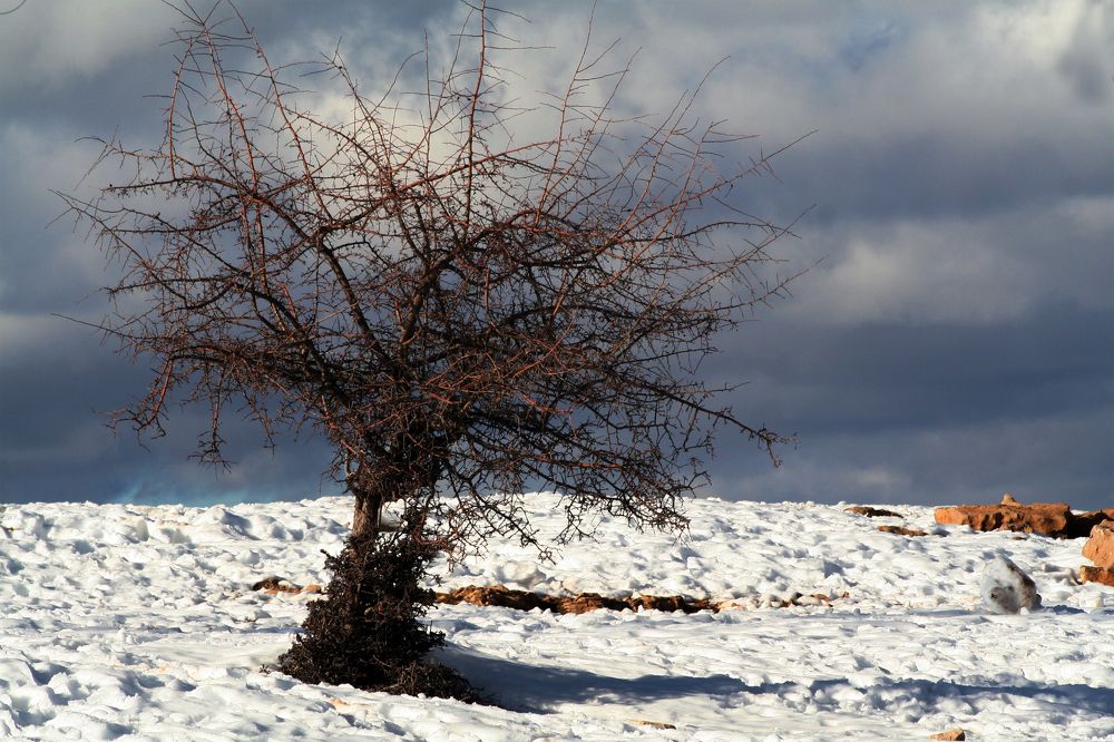 Photograph by Salih Aqeil