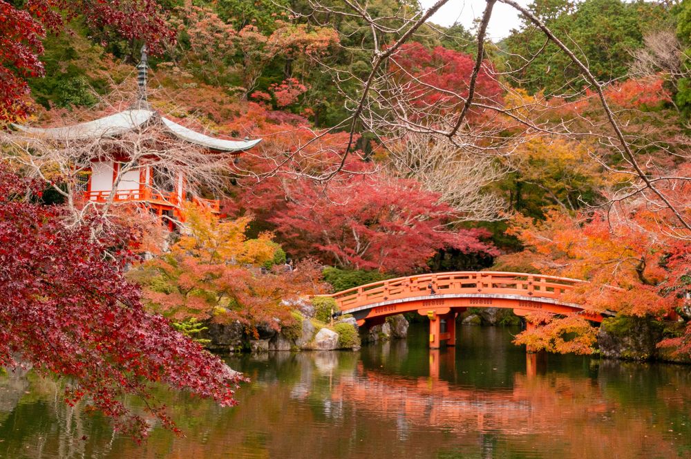 Фотография автора Jian Ma