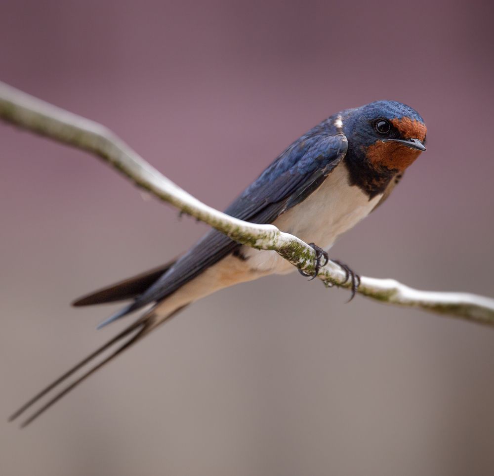 Photograph by Марина