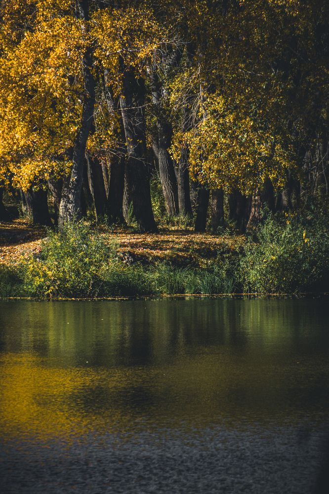 Photograph by Ольга Андронова