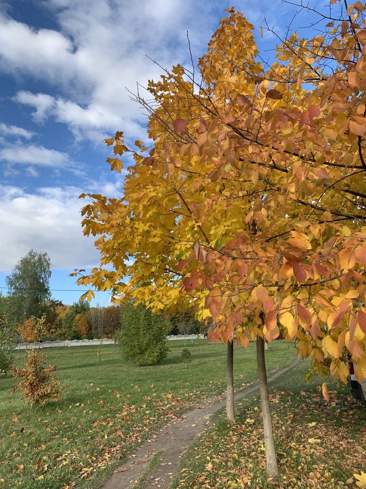 Фотография автора Ирина Шпаковская