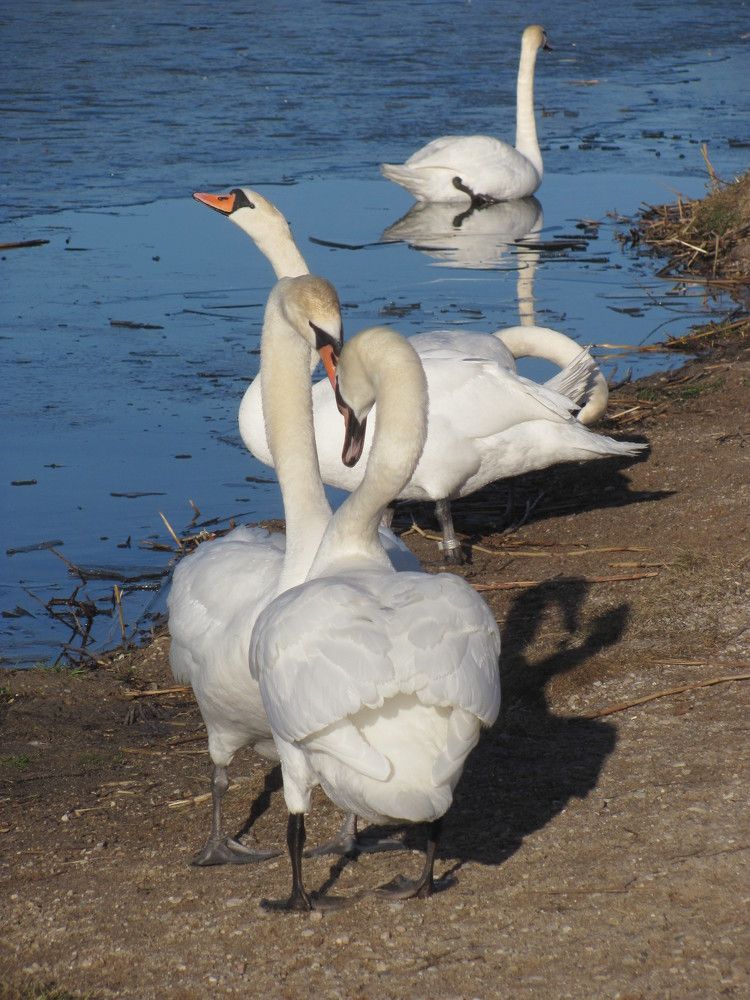 Photograph by Юлия