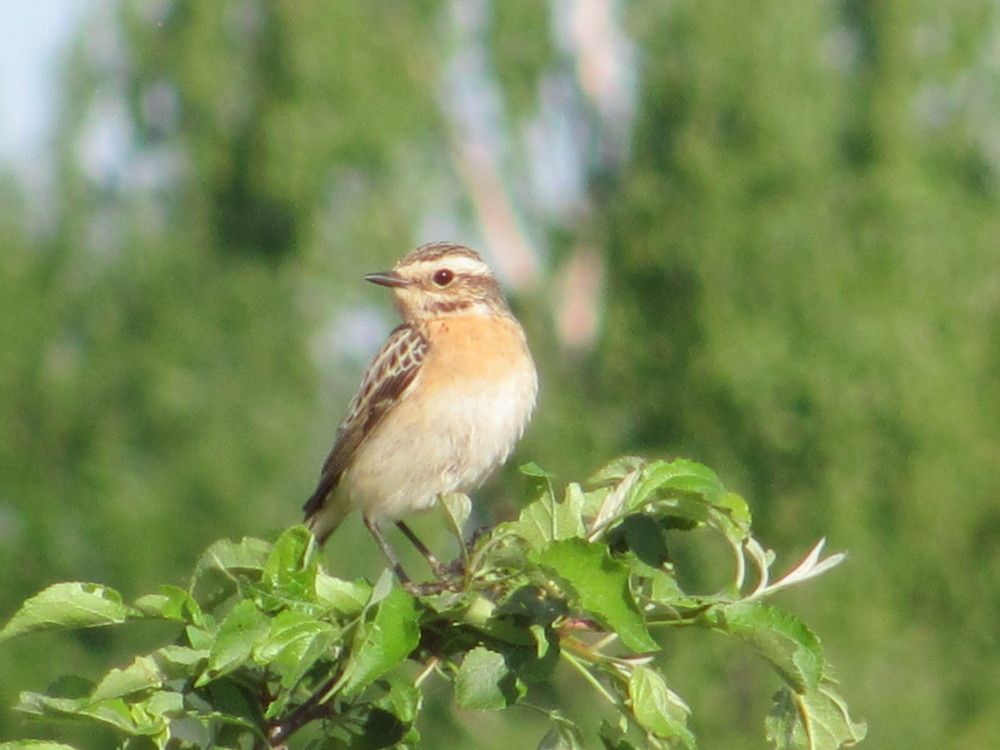 Photograph by Юлия