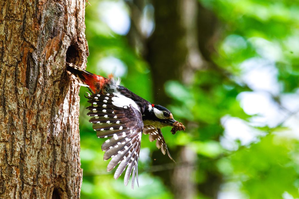 Photograph by Сергей Немцев