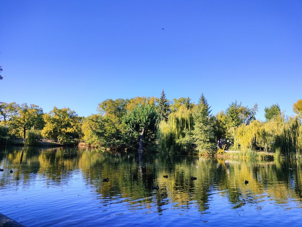 Photograph by Марина Евграфова