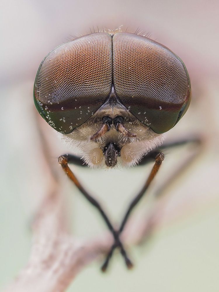 Photograph by Лукашук Евгений