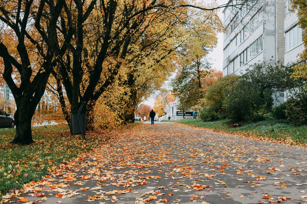 Photograph by Натали Захарова (Тай)