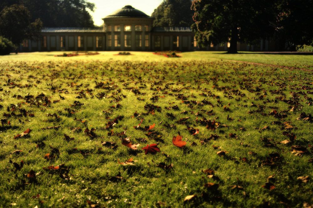 Фотография автора David Solodar