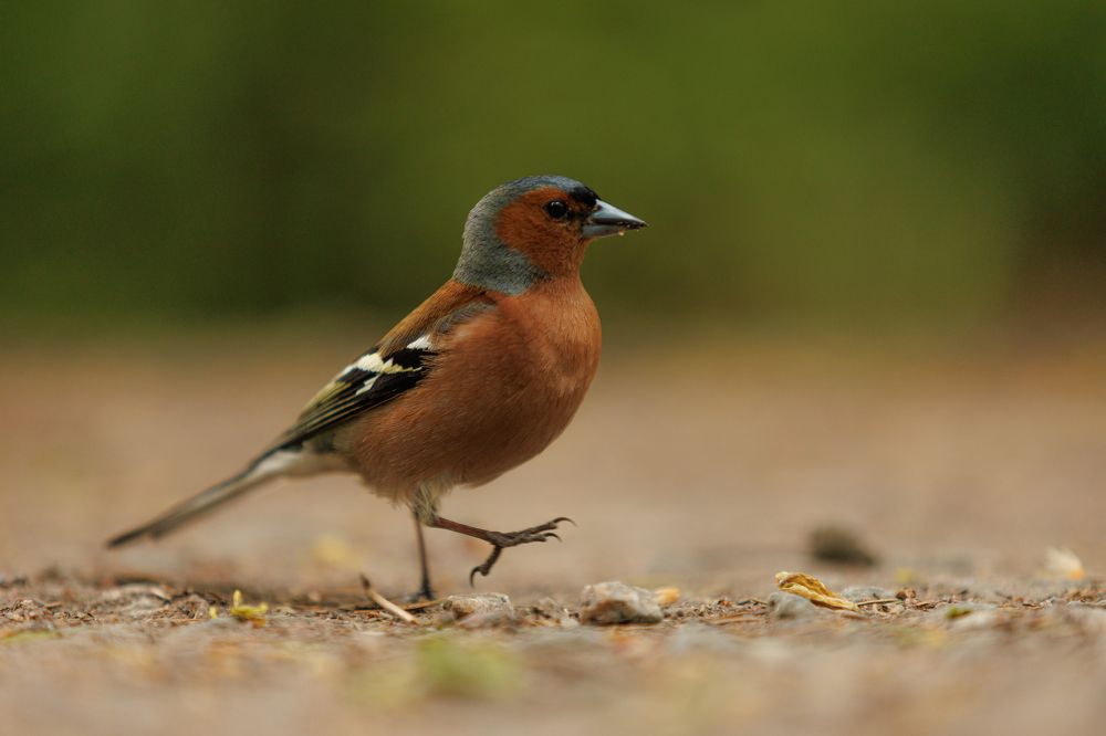 Photograph by Яна Нарбутович