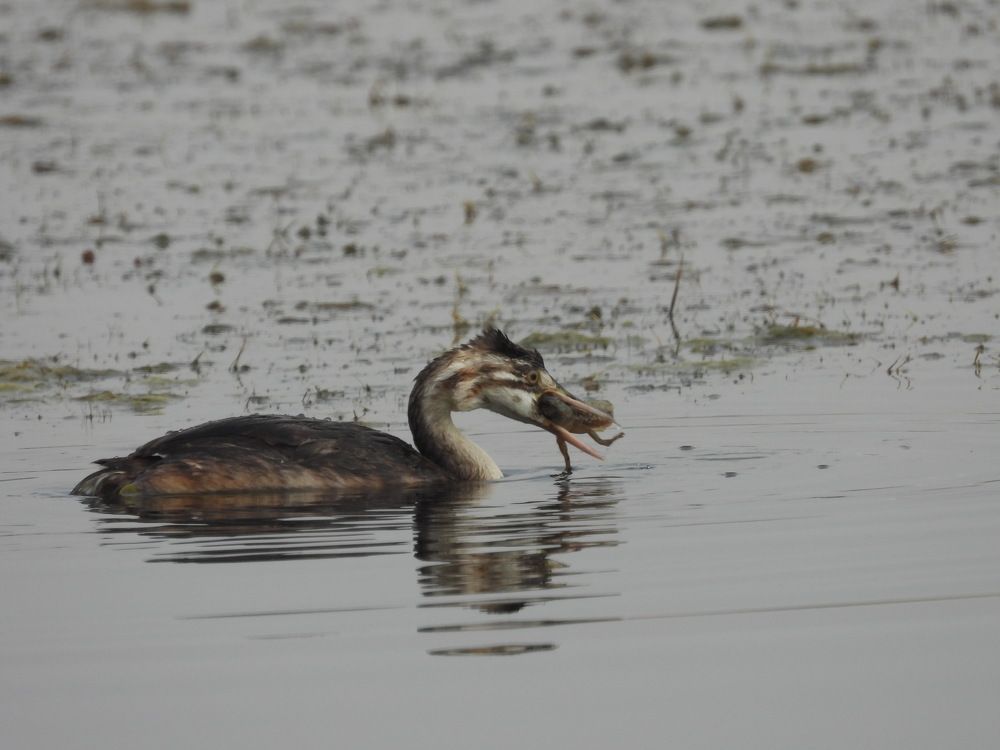 Photograph by Mahnaz Mohsenzadeh Kermani