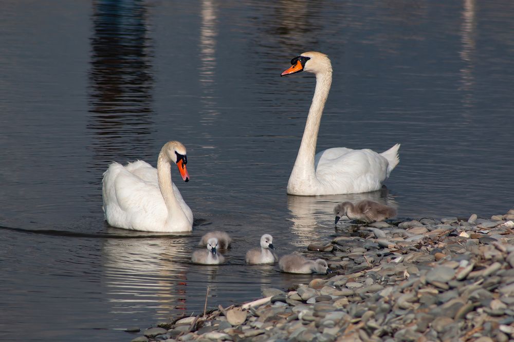 Photograph by Степан Конев