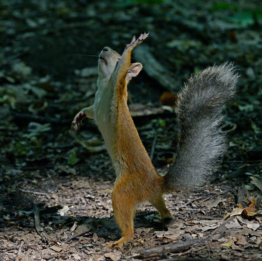 Photograph by Алексей Volg