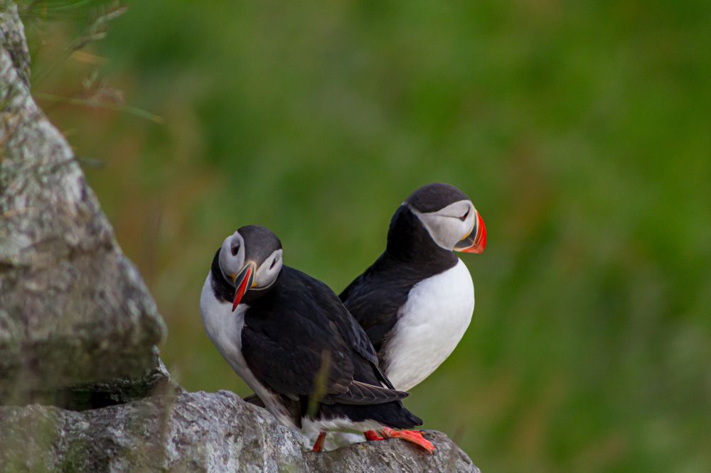 Photograph by Юлия Шурандина