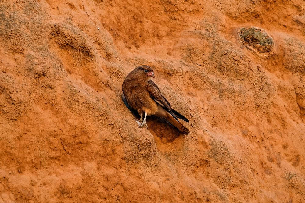 Photograph by Сергей Аверченко