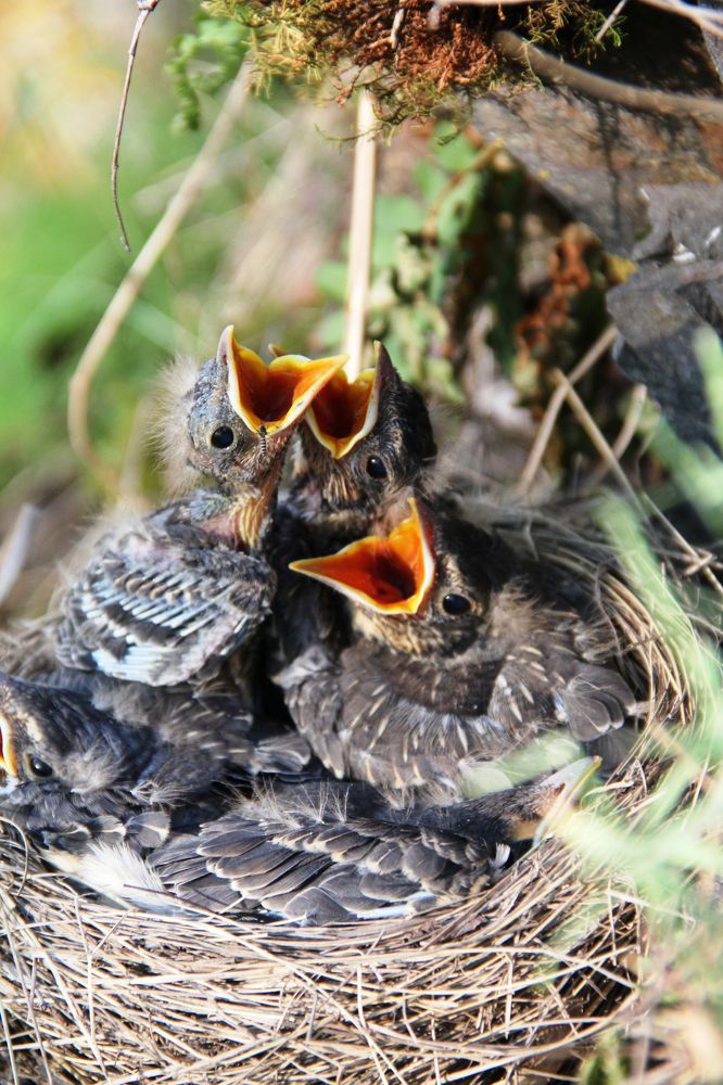 Photograph by Андрей Стародубцев